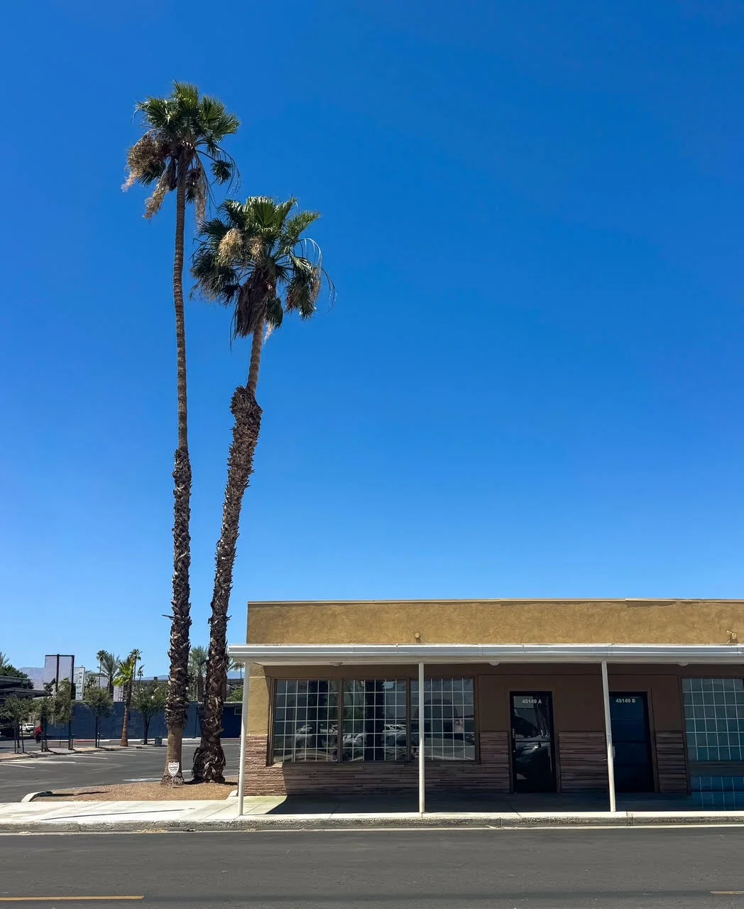 The CASAPRANA studio building with desert palms in Downtown Indio